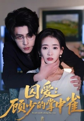 《囚爱：顾少的掌中雀》-VIP部落