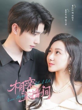 《相亲直播间》-VIP部落