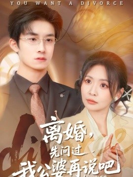 《离婚，先问过我公婆再说吧》-VIP部落