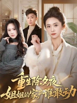 《重生除夕夜，姐姐的家产谁敢动》-VIP部落