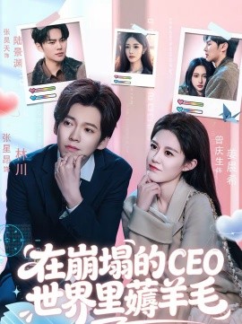 《在崩塌的CEO世界里薅羊毛》-VIP部落