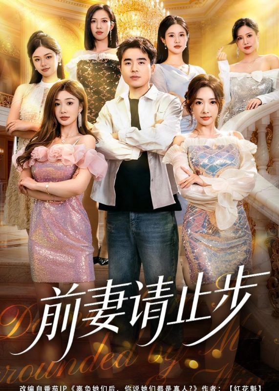 《前妻请止步》-VIP部落