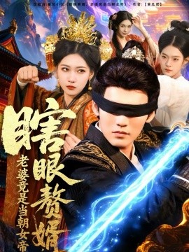 《瞎眼赘婿，老婆竟是当朝女帝》-VIP部落