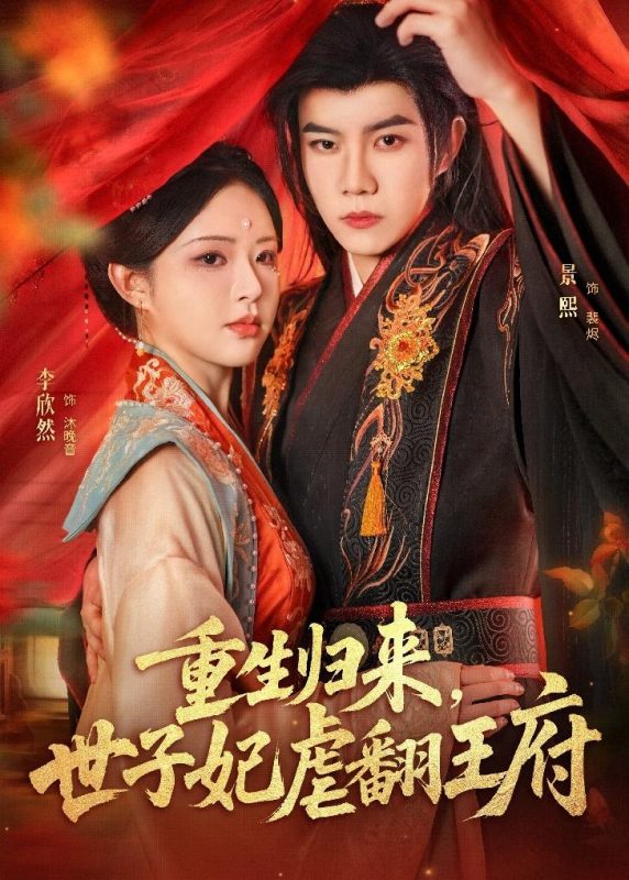 《重生归来，世子妃虐翻王府》-VIP部落