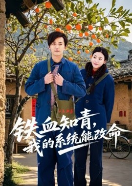《铁血知青，我的系统能改命》-VIP部落