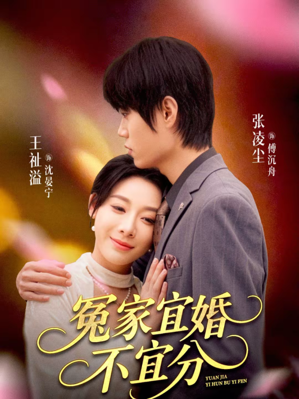 《冤家宜婚不宜分》-VIP部落