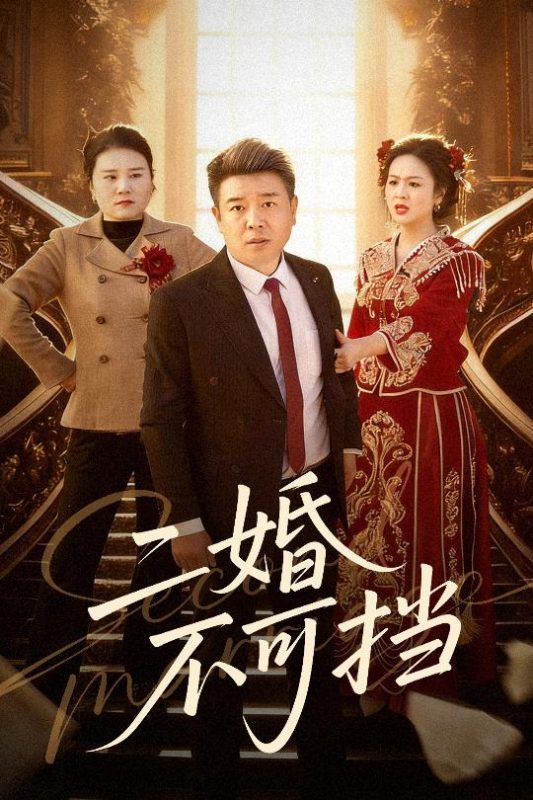 《二婚不可挡》-VIP部落