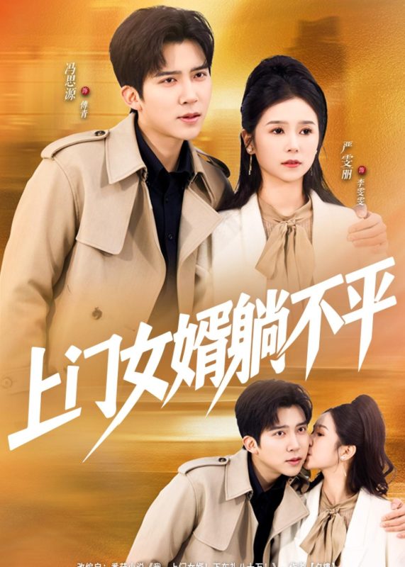《上门女婿躺不平》-VIP部落