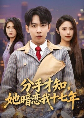 《分手才知，她暗恋我十七年》-VIP部落
