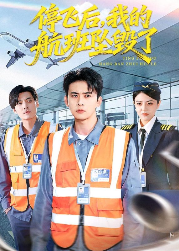 《停飞后，我的航班坠毁了》-VIP部落