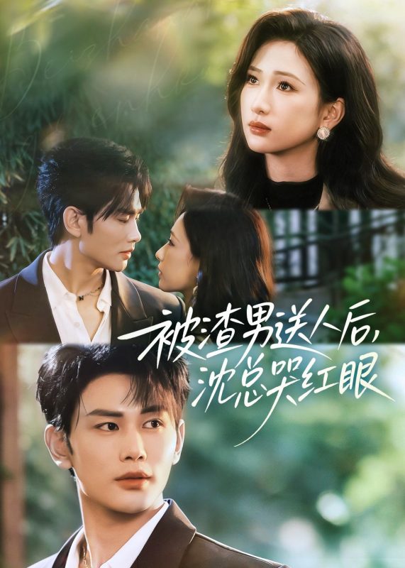 《被渣男送人后，沈总哭红眼》-VIP部落