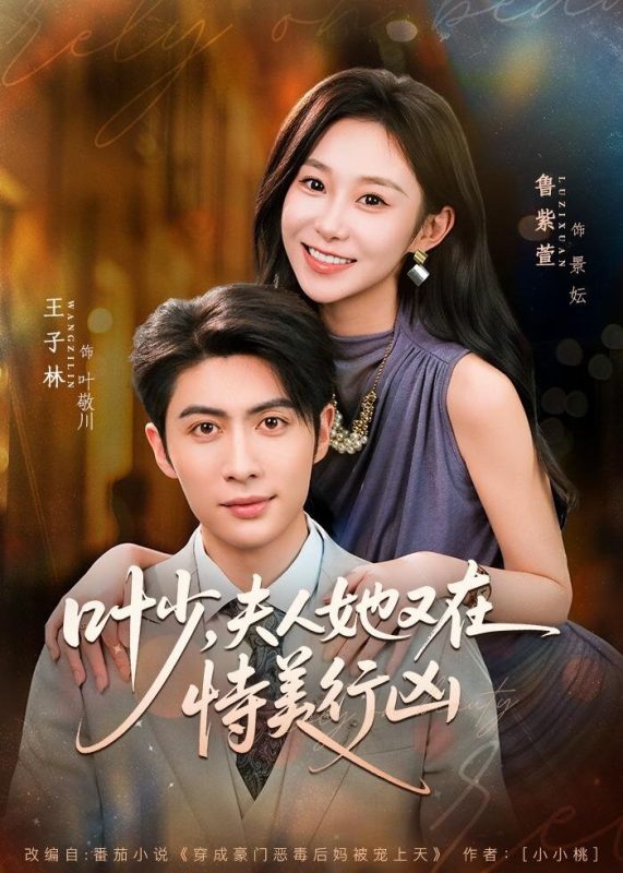《叶少，夫人她又在恃美行凶》-VIP部落