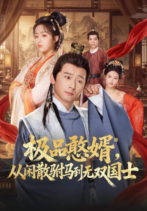 《极品憨婿，从闲散驸马到无双国士》-VIP部落