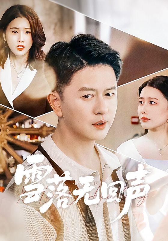 《雪落无回声》-VIP部落