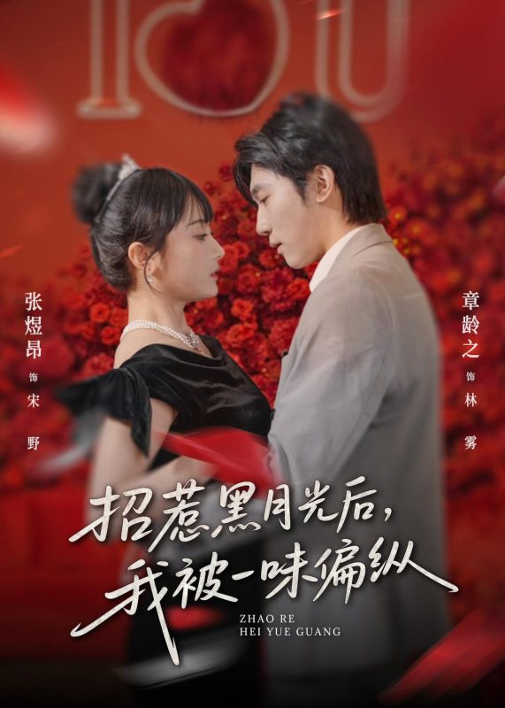 《招惹黑月光后，我被一味偏纵》-VIP部落