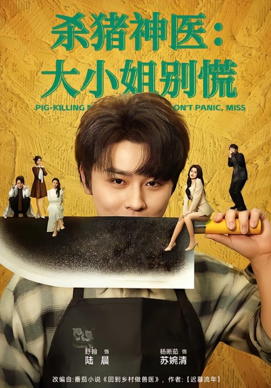 《杀猪神医，大小姐别慌》-VIP部落