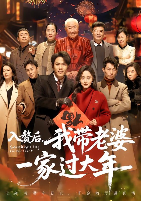 《入赘后，我带老婆一家过大年》-VIP部落