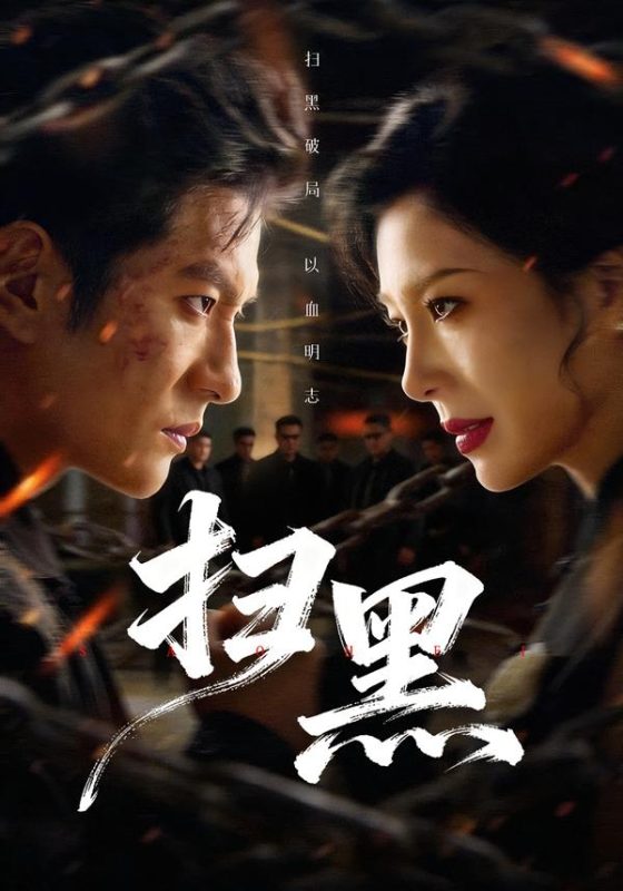 《扫黑2026》-VIP部落