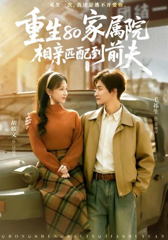 《重生80家属院，相亲匹配到前夫》-VIP部落