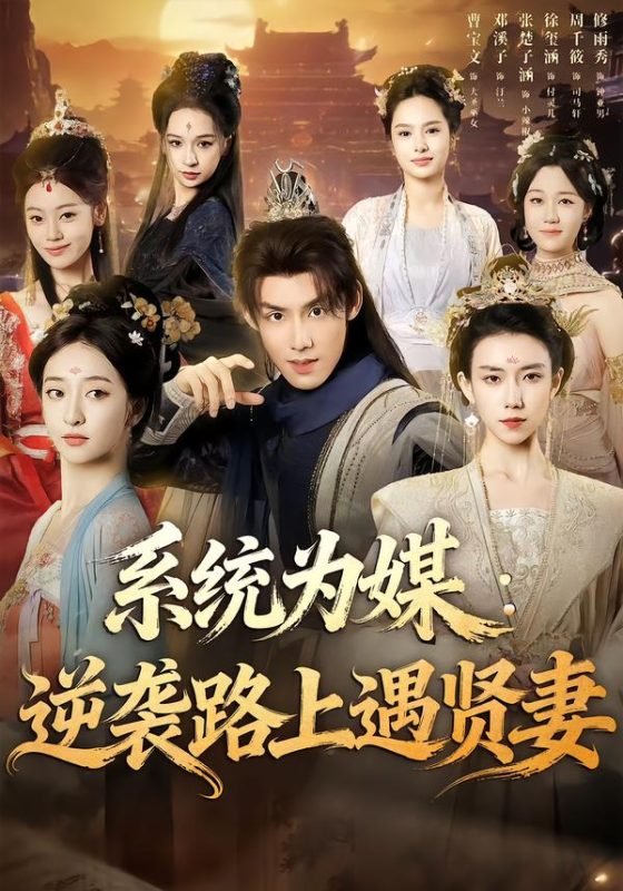 《系统为媒逆袭路上遇贤妻》-VIP部落
