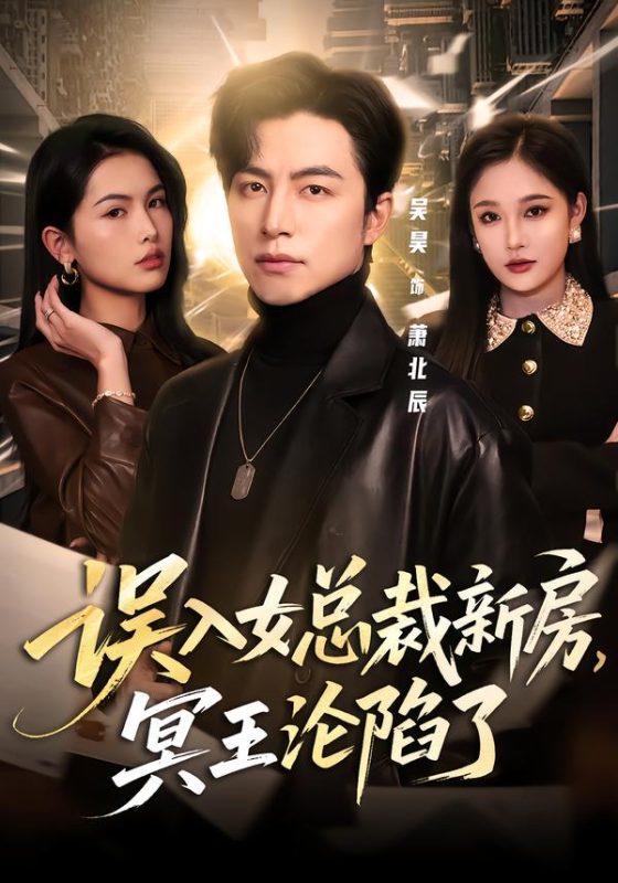 《误入女总裁新房，冥王沦陷了》-VIP部落