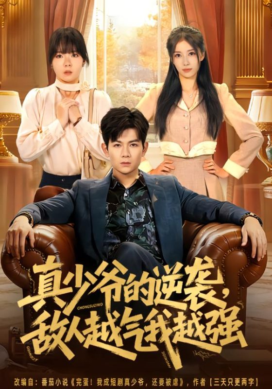 《真少爷的逆袭，敌人越气我越强》-VIP部落