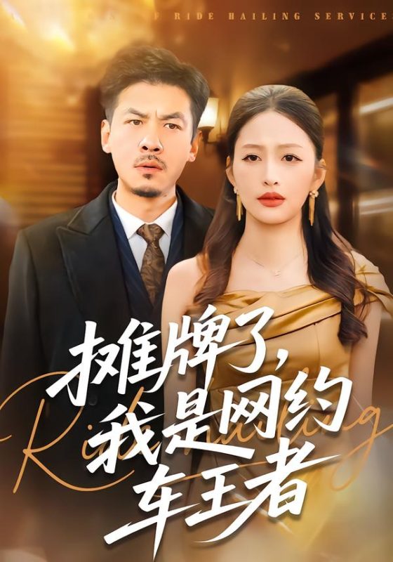 《摊牌了，我是网约车王者》-VIP部落