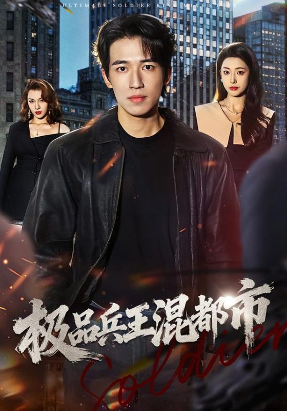 《极品兵王混都市》-VIP部落