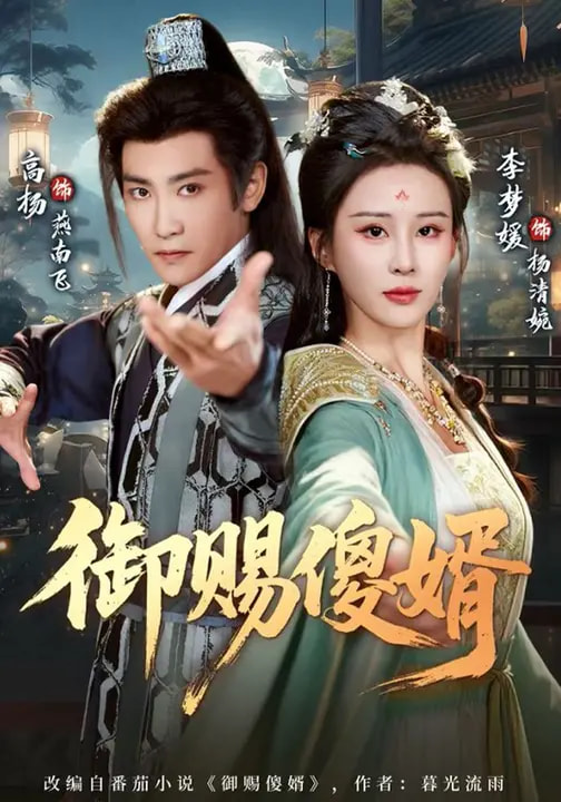 《御赐傻婿》-VIP部落