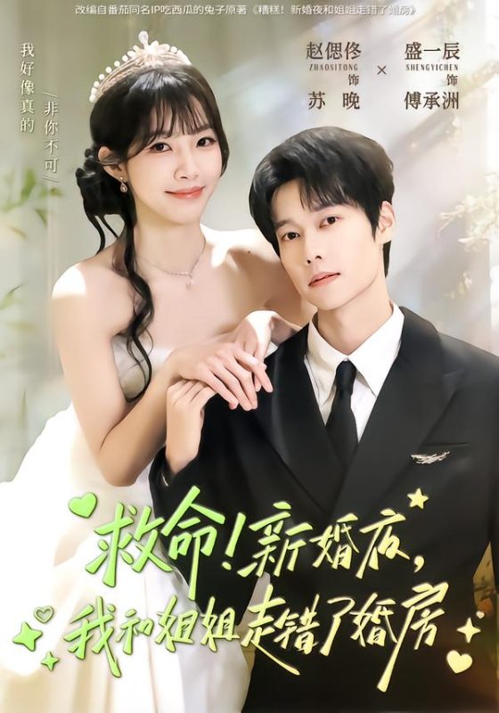 《救命！新婚夜，我和姐姐走错了婚房》-VIP部落