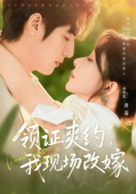 《领证爽约，我现场改嫁》-VIP部落