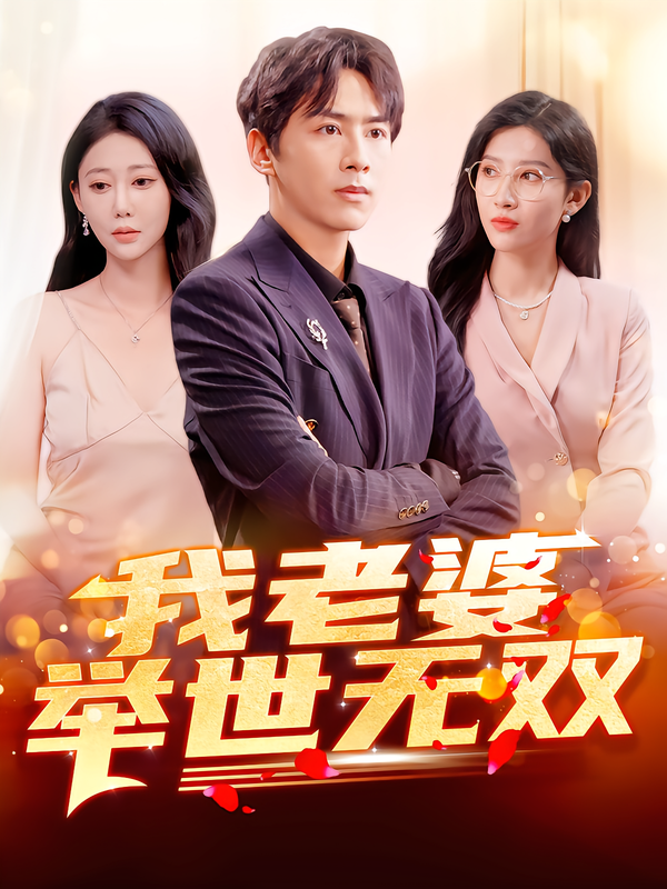 《我老婆举世无双》-VIP部落