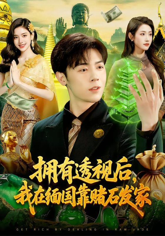 《拥有透视后，我在缅国靠赌石发家》-VIP部落