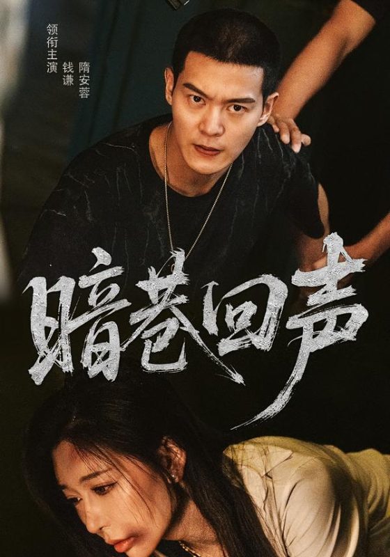 《暗巷回声》-VIP部落