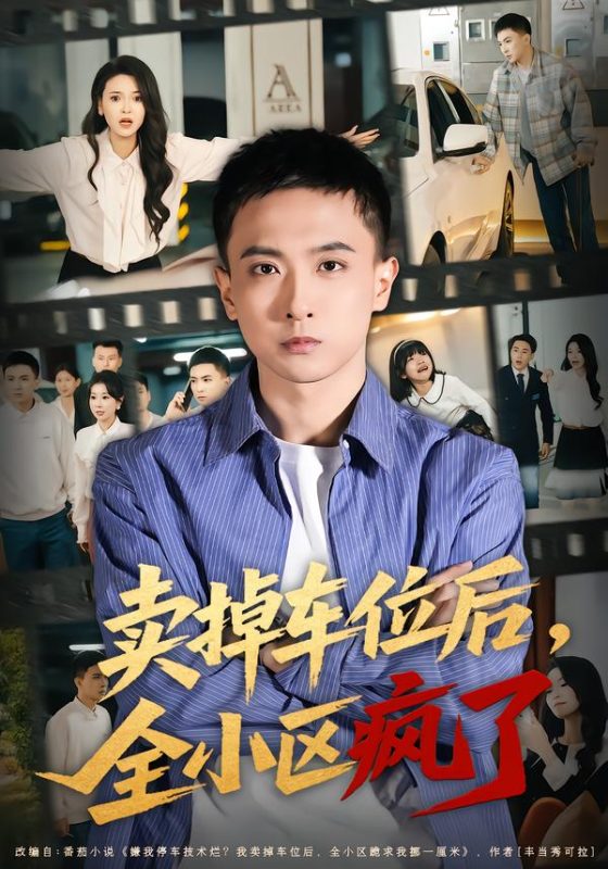 《卖掉车位后，全小区疯了》-VIP部落