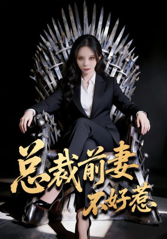 《总裁前妻不好惹》-VIP部落