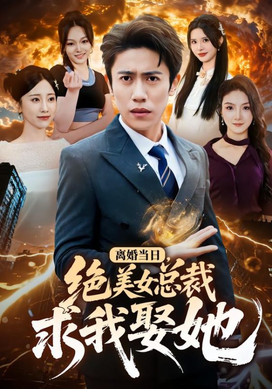 《离婚当日，绝美女总裁求我娶她》-VIP部落
