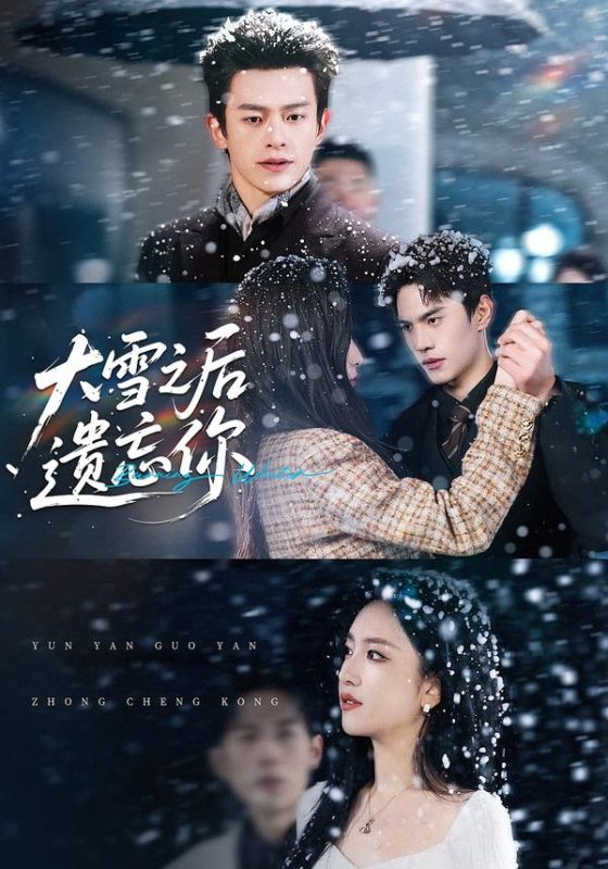 《大雪之后遗忘你》-VIP部落