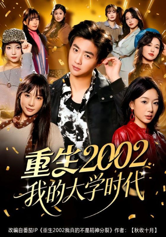 《重生2002我的大学时代》-VIP部落
