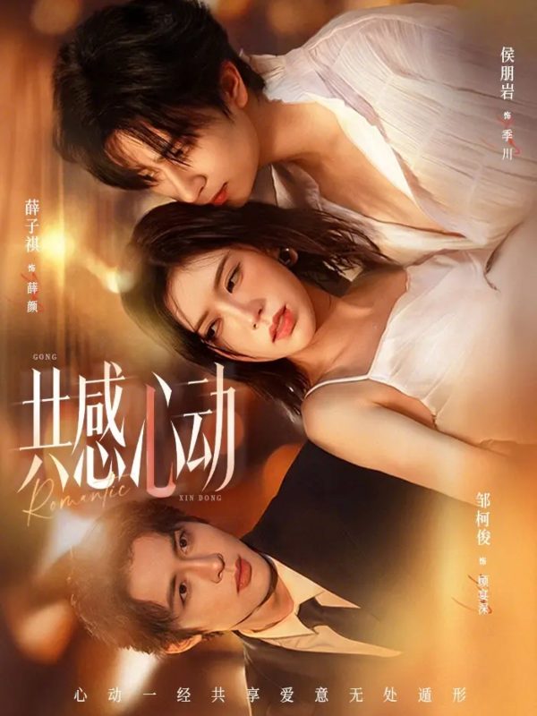 《共感心动》-VIP部落