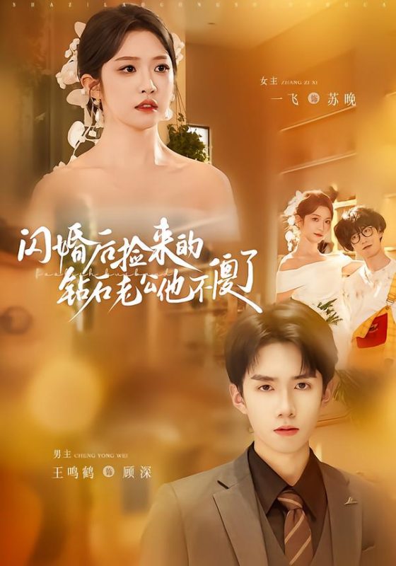 《闪婚后捡来的钻石老公他不傻了》-VIP部落