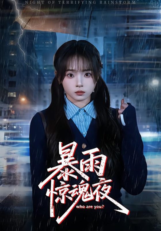 《暴雨惊魂夜》-VIP部落