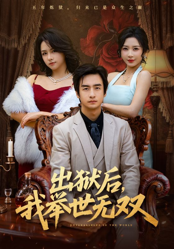 《出狱后，我举世无双》-VIP部落