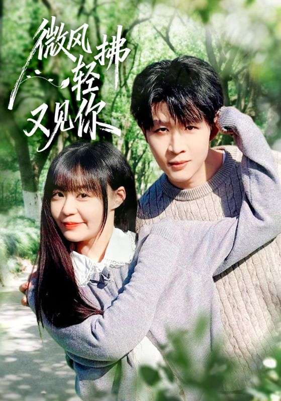 《微风轻拂又见你》-VIP部落