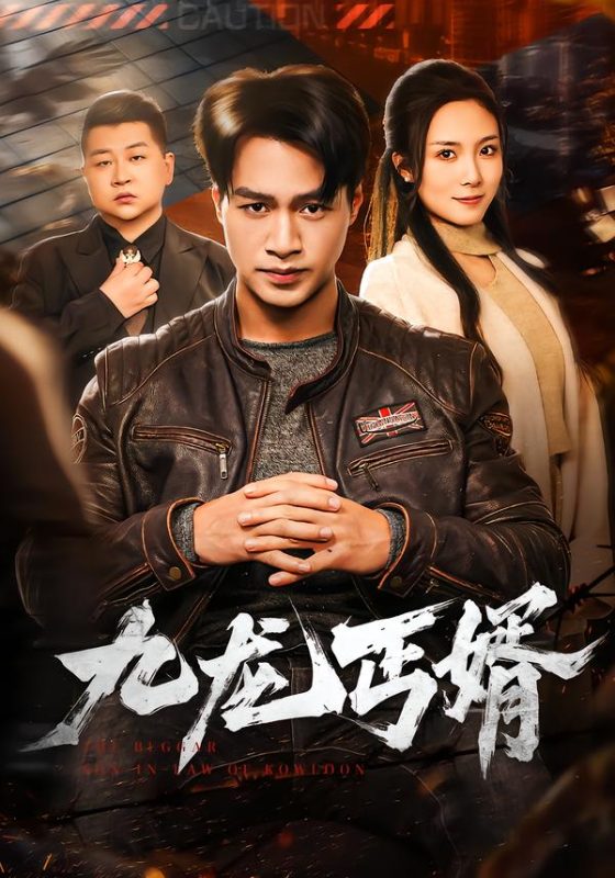 《九龙丐婿》-VIP部落