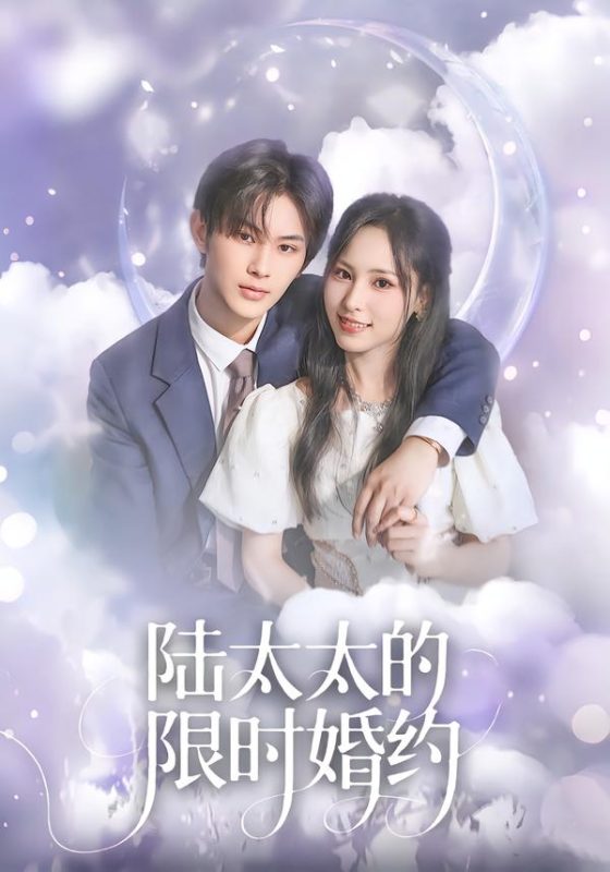 《陆太太的限时婚约》-VIP部落