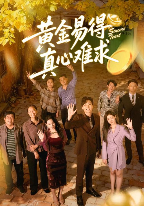 《黄金易得真心难求》-VIP部落