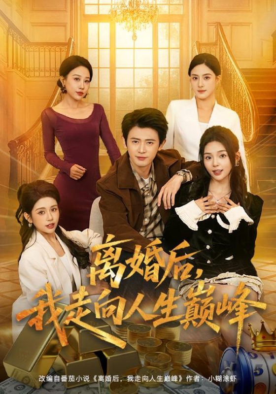 《离婚后，我走向人生巅峰》-VIP部落