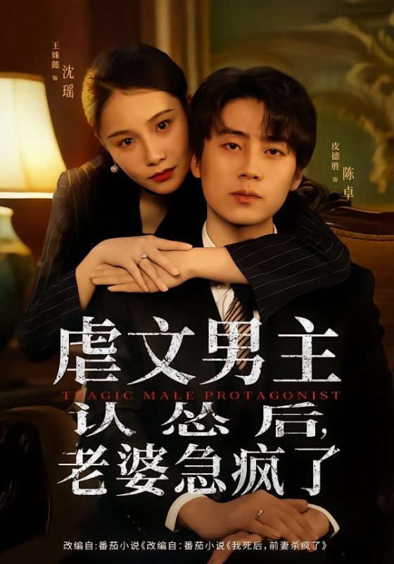 《虐文男主认怂后，老婆急疯了》-VIP部落