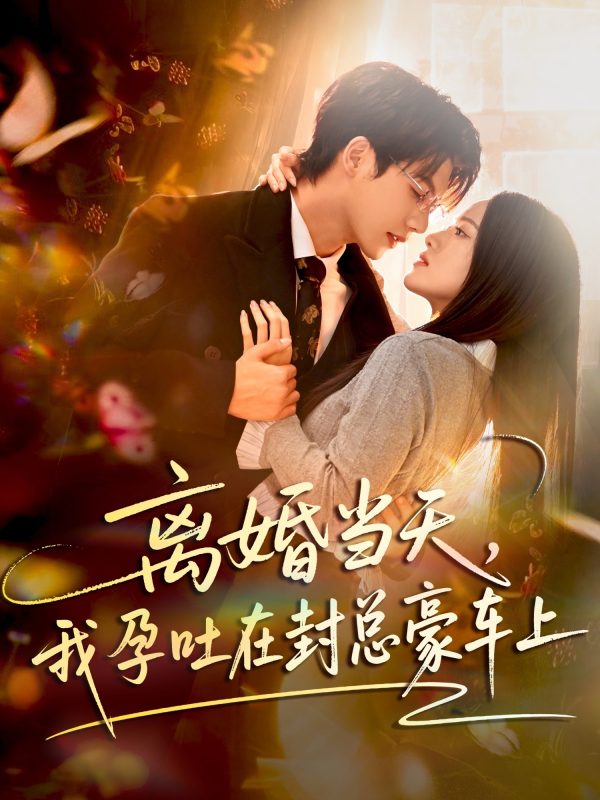 《离婚当天，我孕吐在封总豪车上》-VIP部落